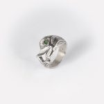 Anello Delfino