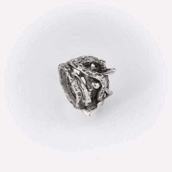 Anello Insieme